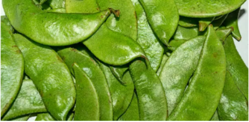 Picture of Beans - Broad